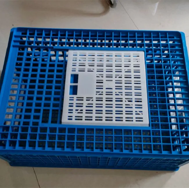 product-650-647 product-650-647