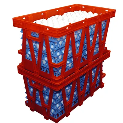 Kunststof eiertransportdoos